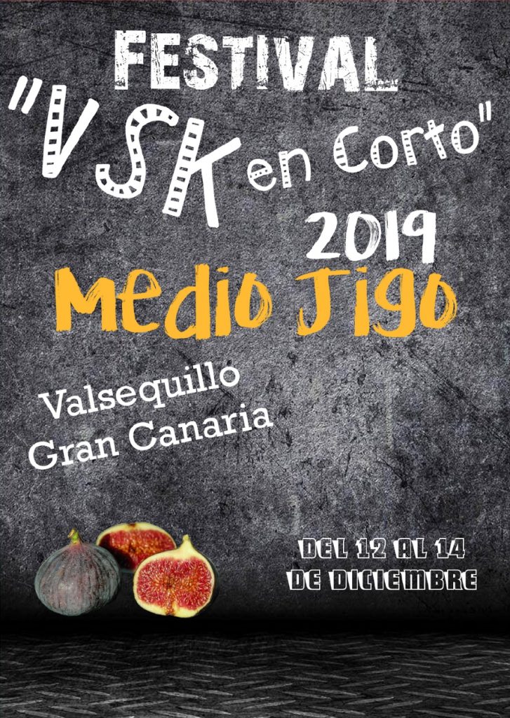 VSK en Corto 2019