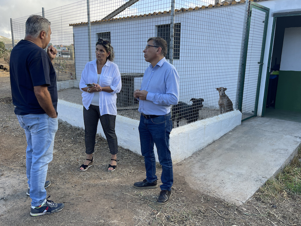 Alcalde y Concejala atienden las explicaciones del veterinario municipal junto a algunos animales