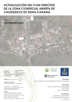 Actualización Plan Director Zona Comercial Abierta de Valsequillo