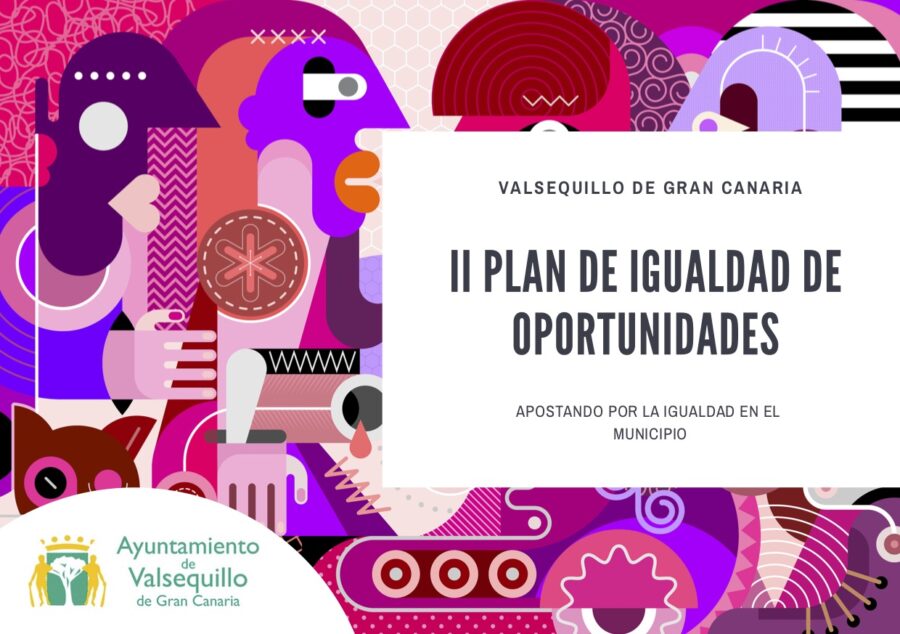 Diagnóstico del II Plan de Igualdad de Valsequillo de Gran Canaria - 2019